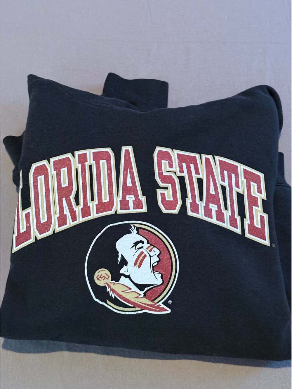 Florida State Seminoles Black Pullover Hoodie – College Logo Sweatshirt